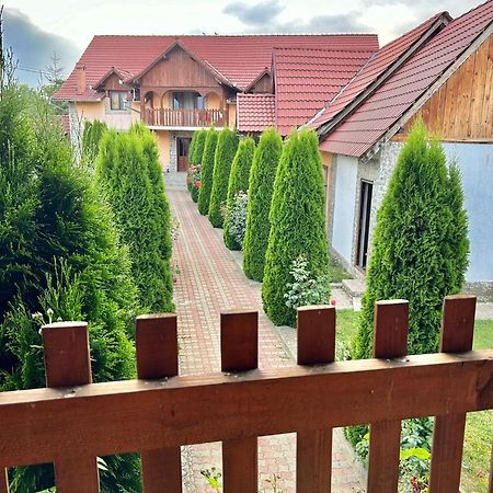 Pensiunea Casa Nina Cîrţişoara 外观 照片