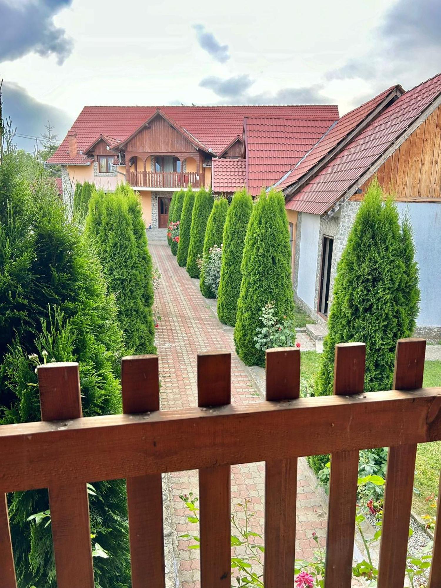 Pensiunea Casa Nina Cîrţişoara 外观 照片
