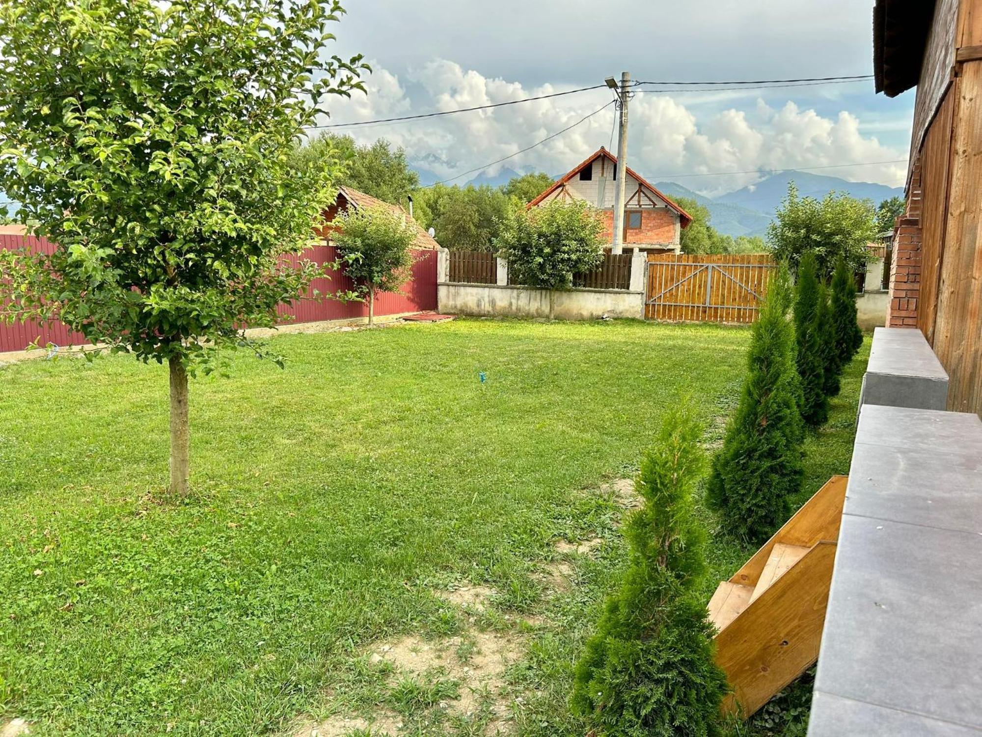 Pensiunea Casa Nina Cîrţişoara 外观 照片