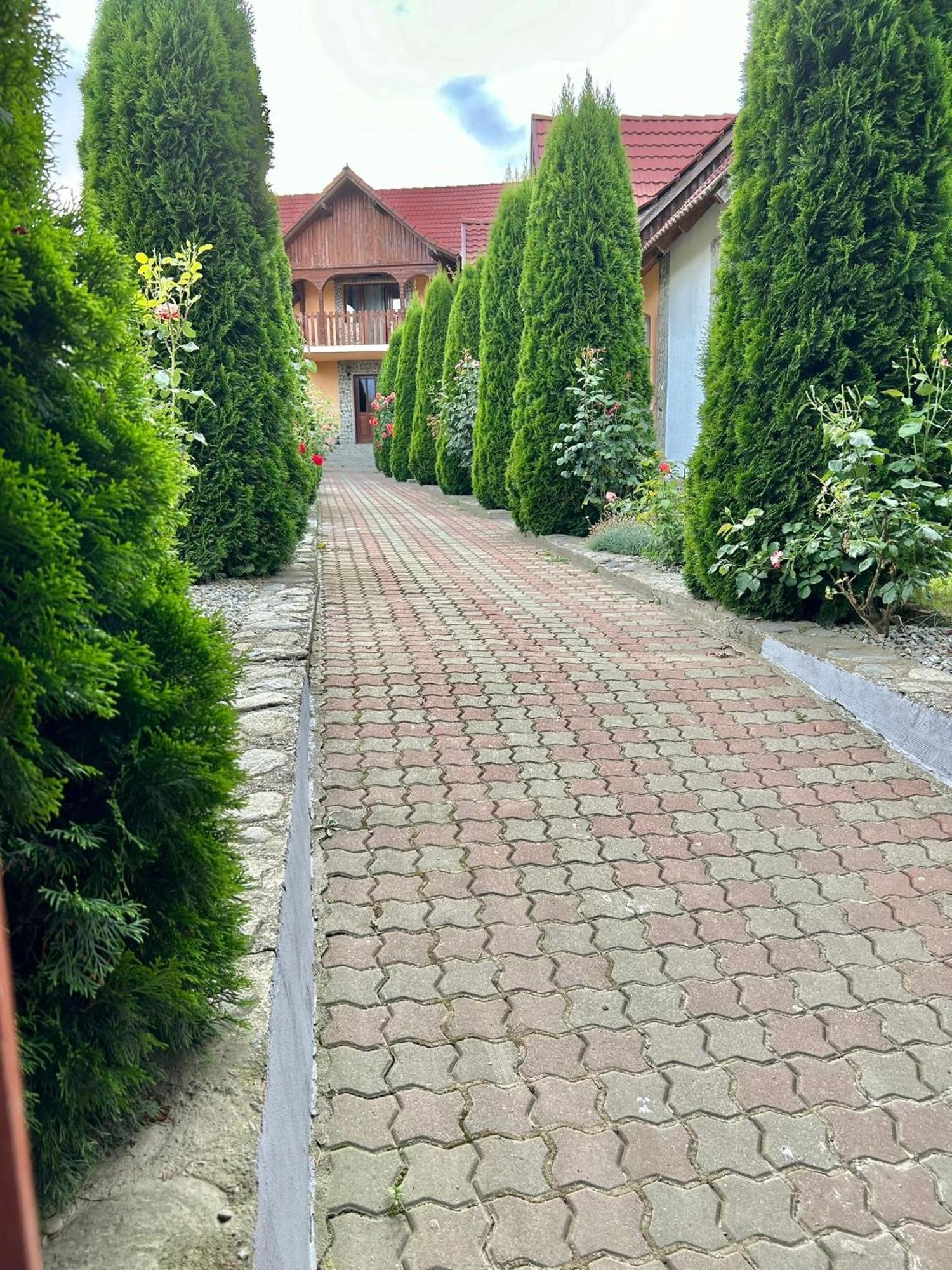 Pensiunea Casa Nina Cîrţişoara 外观 照片