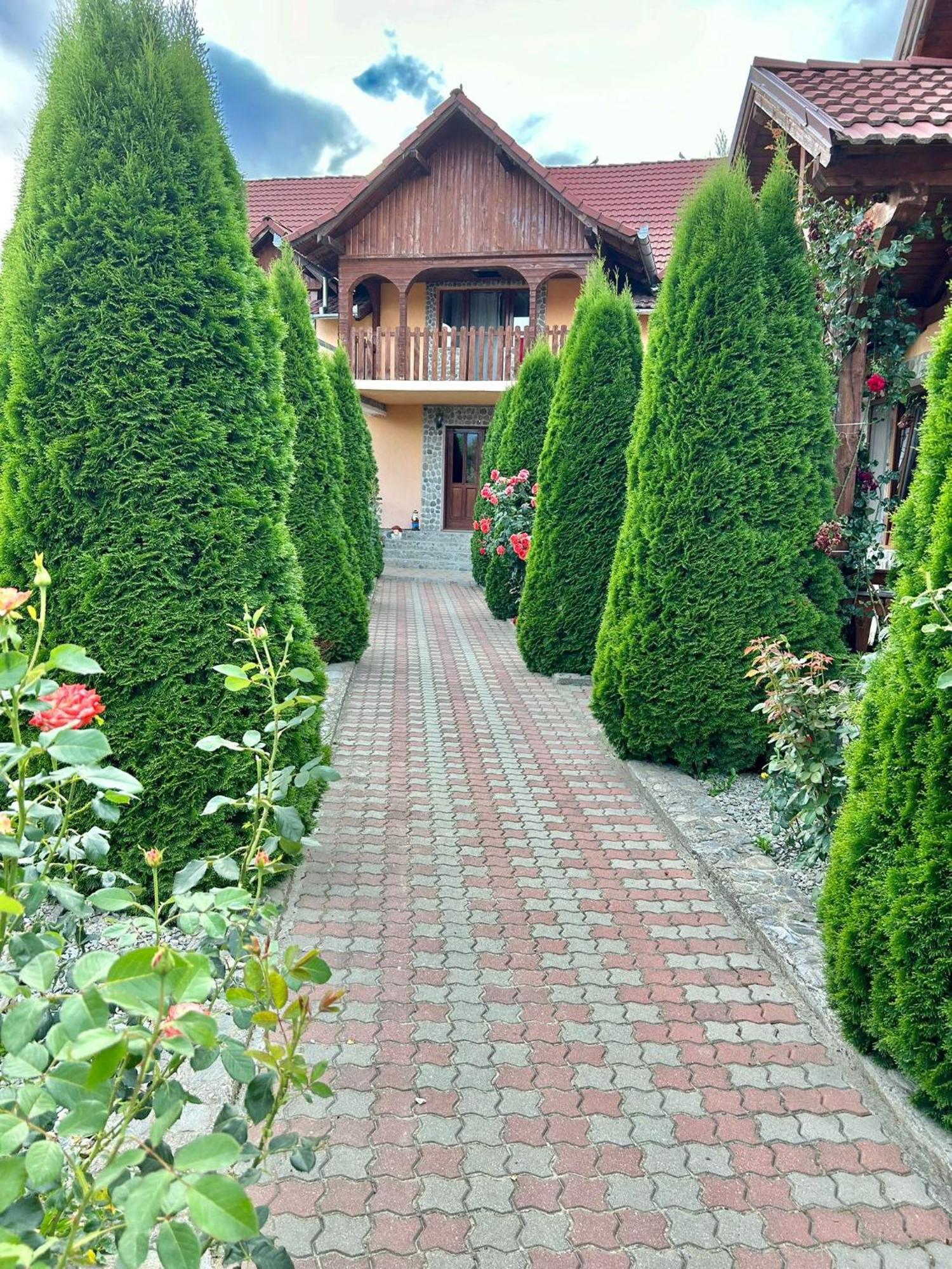 Pensiunea Casa Nina Cîrţişoara 外观 照片