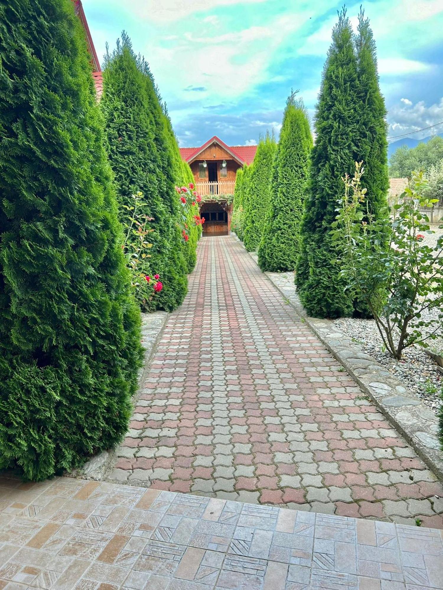 Pensiunea Casa Nina Cîrţişoara 外观 照片